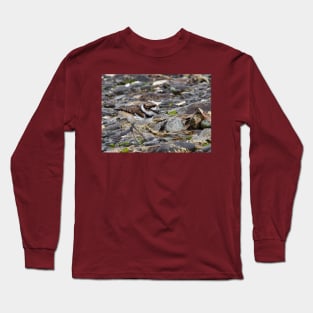 Baby Killdeer Chick Long Sleeve T-Shirt